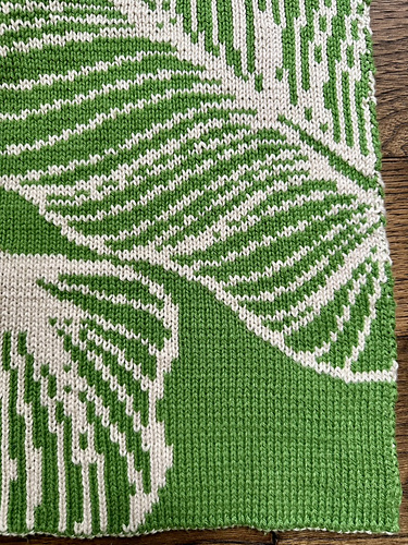 houseplant blanket photo 5