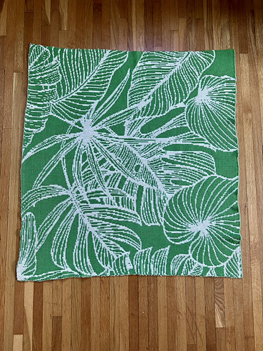 houseplant blanket photo 7