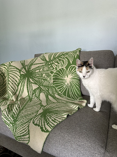 houseplant blanket photo 11