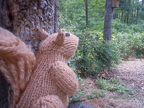 Ravelry: Knit One Squirrel Two pattern by Sara Elizabeth Kellner
