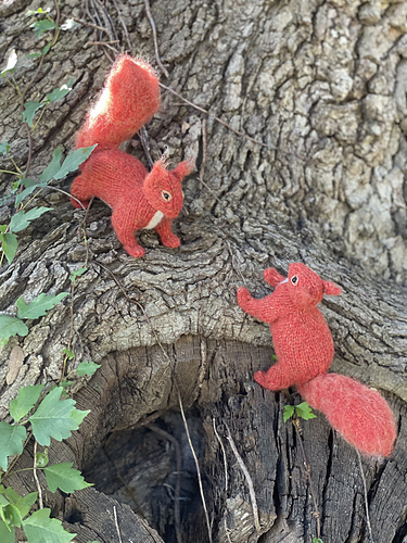 Ravelry: Red Squirrel pattern by Sara Elizabeth Kellner