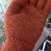 Falling Leaves photo 4