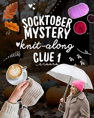 Book Club Socks