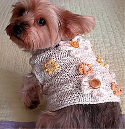 Basket of Daisies Dog Sweater photo 1