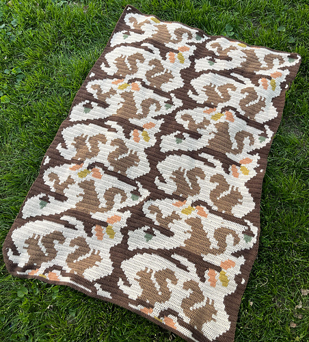 Squiggly Squirrels Blanket
