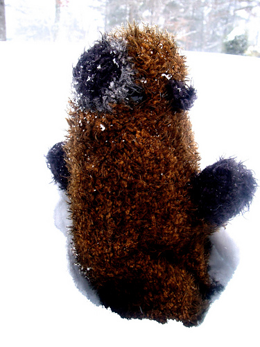 Marmie the Marmot photo 1