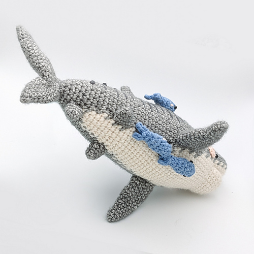 Nikki tigerhaien - Svenja Rösner