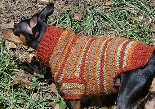 Autumn Stripes Crochet Min Pin Sweater photo 3