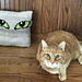 Cat Eye's Pillow pattern