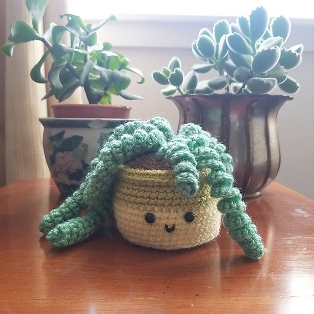 Burro's Tail Amigurumi