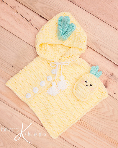 Pineapple Poncho & Buddy photo 3