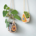 Burst Sunflower Plant Hanger pattern