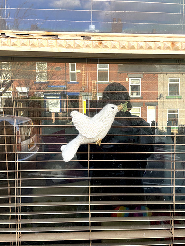 Dove of Peace - Louise Walker