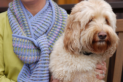 Channeled Colors Brioche Scarf photo 4