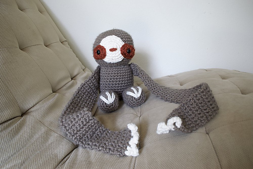 Bonds the Scarfie Sloth photo 2