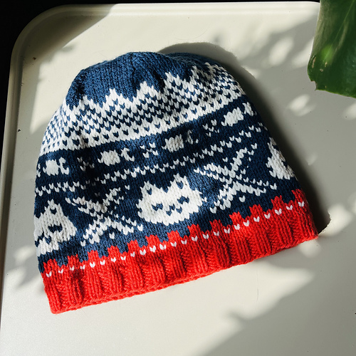 Nordkatt hat