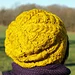 Franka Hat pattern 