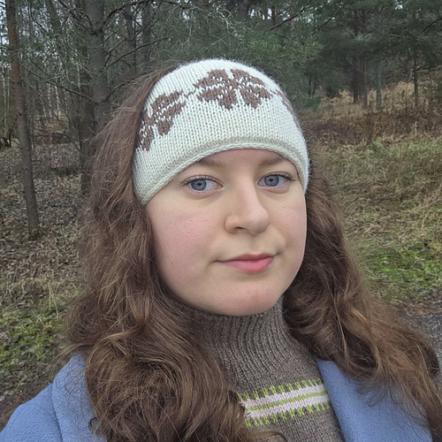 Sandwich Headband photo 3