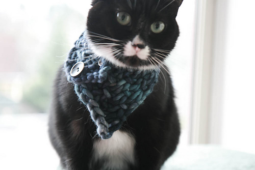 The Triangle Cowl for Tiny Creatures photo 4