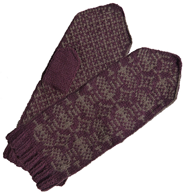 Library Teasel Mittens