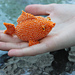 Bead Goldfish Pendant Bag (Beaded Aquarium Series) photo 4