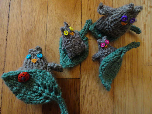 Buttoneyes Owl photo 2