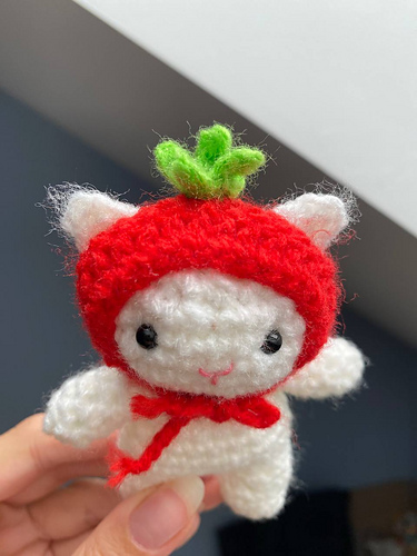 Berry Bonnet Cat photo 5