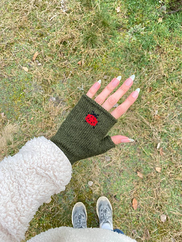 Ladybug mitts