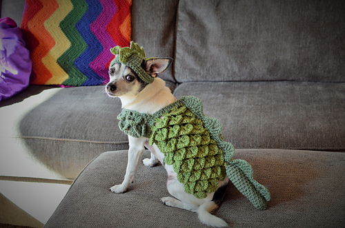 Liten hund dragen kostyme - Stephany's Stitches