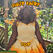 Tulip Fairy Top pattern