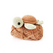 Turtle photo 5