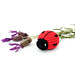 Love Bug photo 3