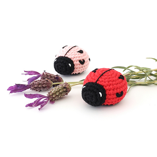 Love Bug photo 4