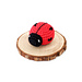 Love Bug photo 4