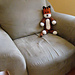 Hobbes photo 4