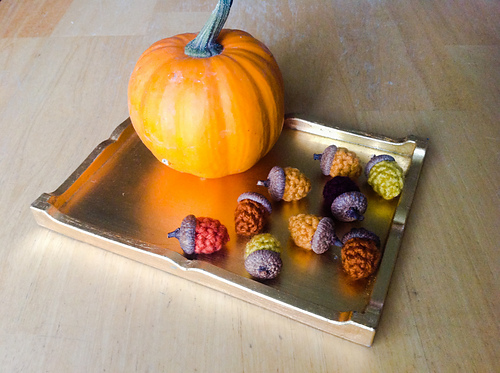 Acorn photo 2