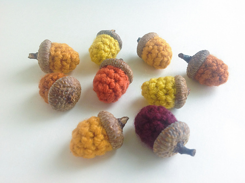 Acorn photo 1