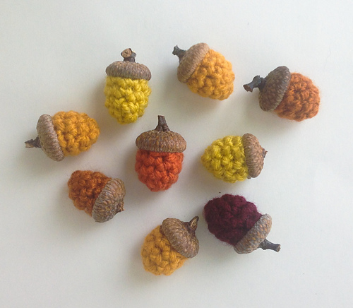 Acorn photo 3