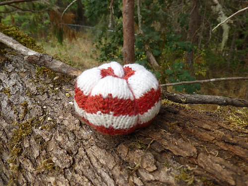 Spicy Knit Pumpkins photo 8