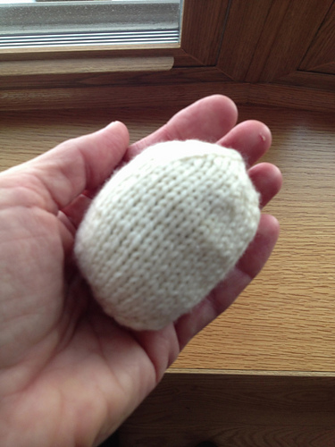 Egg to Turtle photo 5