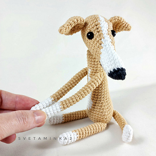 Slender body, long legs, expressive ears, and that irresistibly sweet, pointy snout!