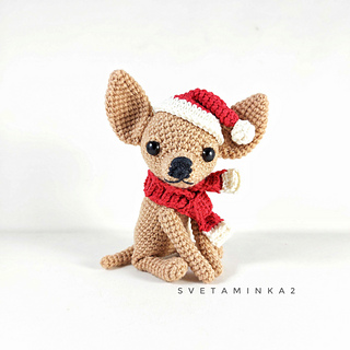 Authentic Chihuahua features – cute button nose, big expressive eyes!