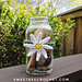 Daisy Mason Jar Decor pattern 