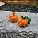 Tiny Cute Pumpkin photo 3