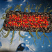 Fire Walking Mat photo 3