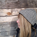 Woodsman Tuque photo 4