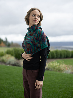 Shown in Tosh DK, Shelf Indulgence.