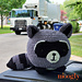 Raccoon Squish photo 3