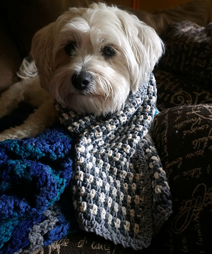 Autumn Amore Scarf photo 2