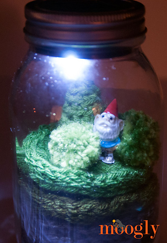 Everlasting Terrarium photo 3